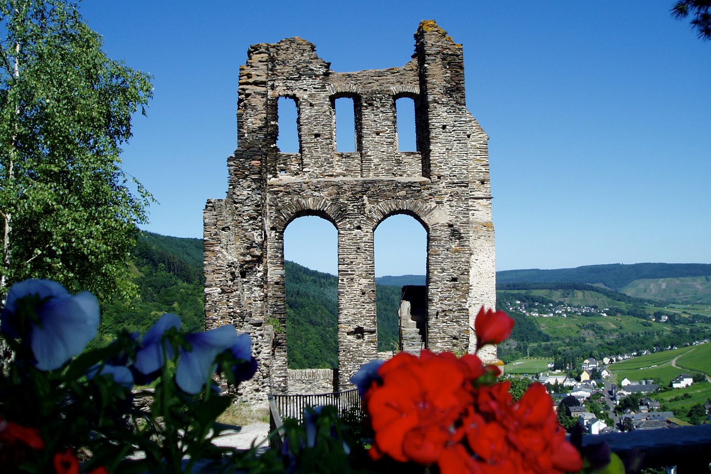 Blick auf die Grevenburg Ruine Traben-Trarbach mit Blumen im Vordergrund und dem Moseltal im Hintergrund
